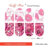 Lucky Rose Слайдер-дизайн Minic 7